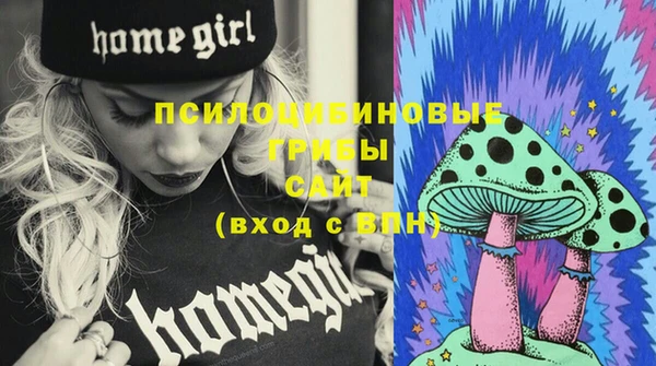 меф Вяземский