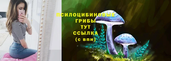 меф Вяземский