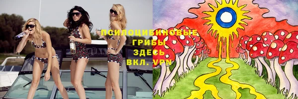 a pvp Вязьма