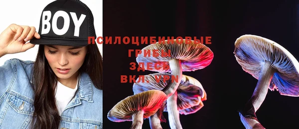 меф Вяземский
